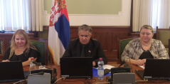 13. октобар 2022. Члан делегације у ПС ЦЕС Милија Милетић учествовао на видео састанку Комитета за културу, образовање и социјална питања ПС ЦЕС